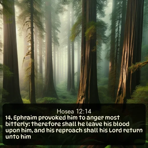 citation biblique : 14. Ephraim provoked him to anger most bitterly: therefore shall he leave his blood upon him, and his reproach shall his Lord return unto him.
 sur fond image nature