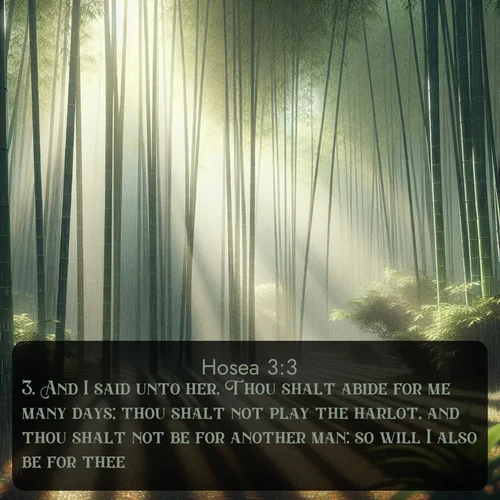 KJV 28 3:3