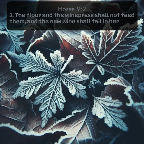 KJV Hosea  ; image nature: image with the bible verse :The floor and the winepress shall not feed them, and the new wine shall fail in her. ; Admire Bible verse images illustrated by summer photos, such as sunny beaches, sparkling waves, and swaying palm trees. These bright scenes highlight the joy and warmth of God&#039;s creation. Download and share verses like KJV Hosea 9:2. Current verse is overlayed with the thematic nature scene : Winter frost creates delicate patterns on fallen leaves. ; 9:2