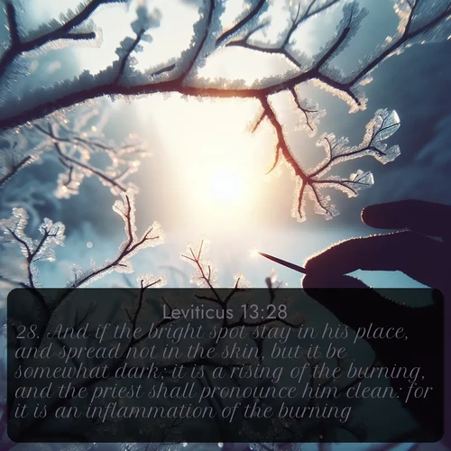 citation biblique : 28. And if the bright spot stay in his place, and spread not in the skin, but it be somewhat dark; it is a rising of the burning, and the priest shall pronounce him clean: for it is an inflammation of the burning.
 sur fond image nature