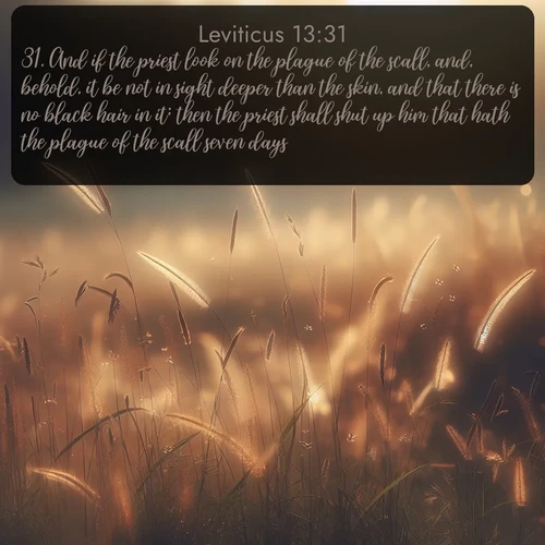 citation biblique : 31. And if the priest look on the plague of the scall, and, behold, it be not in sight deeper than the skin, and that there is no black hair in it; then the priest shall shut up him that hath the plague of the scall seven days:
 sur fond image nature