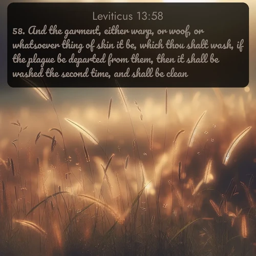 citation biblique : 58. And the garment, either warp, or woof, or whatsoever thing of skin it be, which thou shalt wash, if the plague be departed from them, then it shall be washed the second time, and shall be clean.
 sur fond image nature