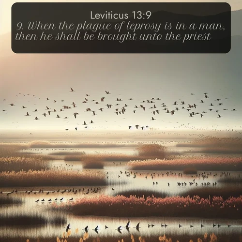 citation biblique : 9. When the plague of leprosy is in a man, then he shall be brought unto the priest;
 sur fond image nature