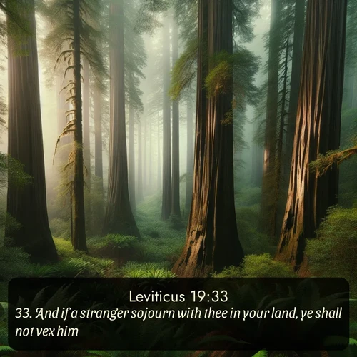 citation biblique : 33. And if a stranger sojourn with thee in your land, ye shall not vex him.
 sur fond image nature