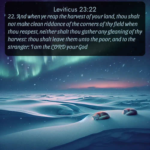 citation biblique : 22. And when ye reap the harvest of your land, thou shalt not make clean riddance of the corners of thy field when thou reapest, neither shalt thou gather any gleaning of thy harvest: thou shalt leave them unto the poor, and to the stranger: I am the LORD your God.
 sur fond image nature