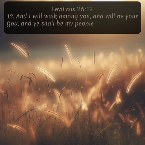citation biblique : 12. And I will walk among you, and will be your God, and ye shall be my people.
 sur fond image nature