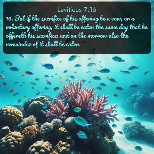 KJV Leviticus  ; image nature: image with the bible verse :But if the sacrifice of his offering be a vow, or a voluntary offering, it shall be eaten the same day that he offereth his sacrifice: and on the morrow also the remainder of it shall be eaten: ; Dive into our collection of Bible verse images beautifully illustrated with beach photos, featuring gentle waves, sunsets over the sea, and sandy shores. These scenes evoke the peace and majesty of God. Download and share inspiring verses like KJV Leviticus 7:16. Current verse is overlayed with the thematic nature scene : Tropical fish dart through coral reefs in crystal-clear waters. ; 7:16