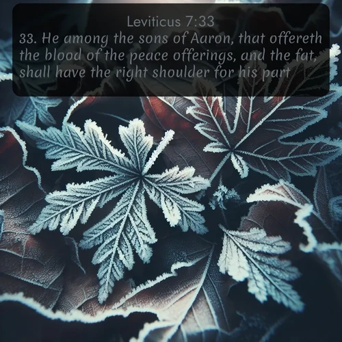 KJV Leviticus  ; image nature: image with the bible verse :He among the sons of Aaron, that offereth the blood of the peace offerings, and the fat, shall have the right shoulder for his part. ; Explore serene Bible verse images adorned with photos of divine creation—tranquil beaches, snowy mountains, and starry skies. Each image is free to download and share. Verses include KJV Leviticus 7:33. Current verse is overlayed with the thematic nature scene : Winter frost creates delicate patterns on fallen leaves. ; 7:33
