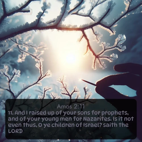 citation biblique : 11. And I raised up of your sons for prophets, and of your young men for Nazarites. Is it not even thus, O ye children of Israel? saith the LORD.
 sur fond image nature
