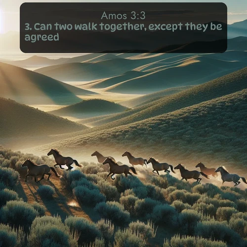 citation biblique : 3. Can two walk together, except they be agreed?
 sur fond image nature