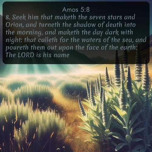 citation biblique : 8. Seek him that maketh the seven stars and Orion, and turneth the shadow of death into the morning, and maketh the day dark with night: that calleth for the waters of the sea, and poureth them out upon the face of the earth: The LORD is his name:
 sur fond image nature