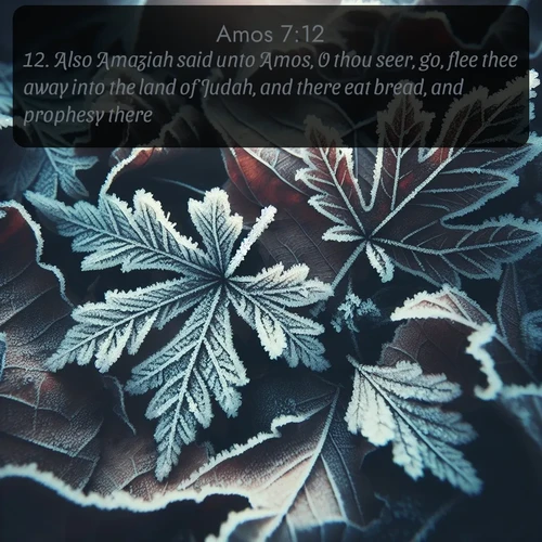 citation biblique : 12. Also Amaziah said unto Amos, O thou seer, go, flee thee away into the land of Judah, and there eat bread, and prophesy there:
 sur fond image nature