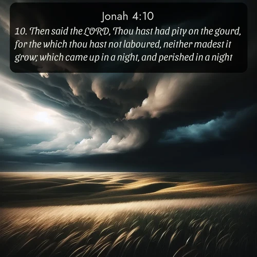 citation biblique : 10. Then said the LORD, Thou hast had pity on the gourd, for the which thou hast not laboured, neither madest it grow; which came up in a night, and perished in a night:
 sur fond image nature