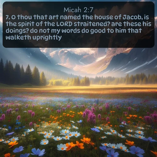 citation biblique : 7. O thou that art named the house of Jacob, is the spirit of the LORD straitened? are these his doings? do not my words do good to him that walketh uprightly?
 sur fond image nature