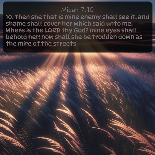 citation biblique : 10. Then she that is mine enemy shall see it, and shame shall cover her which said unto me, Where is the LORD thy God? mine eyes shall behold her: now shall she be trodden down as the mire of the streets.
 sur fond image nature
