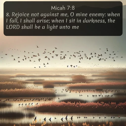 citation biblique : 8. Rejoice not against me, O mine enemy: when I fall, I shall arise; when I sit in darkness, the LORD shall be a light unto me.
 sur fond image nature