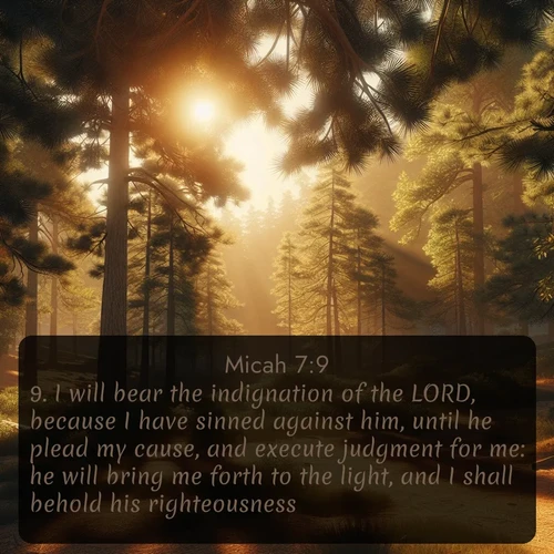 citation biblique : 9. I will bear the indignation of the LORD, because I have sinned against him, until he plead my cause, and execute judgment for me: he will bring me forth to the light, and I shall behold his righteousness.
 sur fond image nature