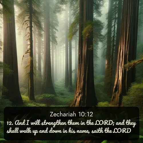 citation biblique : 12. And I will strengthen them in the LORD; and they shall walk up and down in his name, saith the LORD.
 sur fond image nature