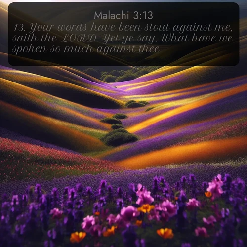 citation biblique : 13. Your words have been stout against me, saith the LORD. Yet ye say, What have we spoken so much against thee?
 sur fond image nature