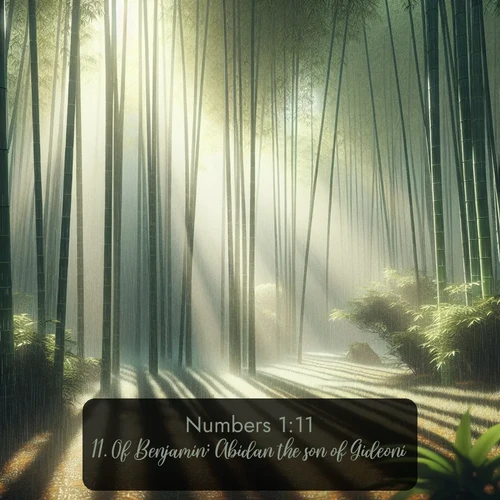citation biblique : 11. Of Benjamin; Abidan the son of Gideoni.
 sur fond image nature