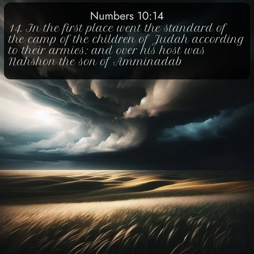 citation biblique : 14. In the first place went the standard of the camp of the children of Judah according to their armies: and over his host was Nahshon the son of Amminadab.
 sur fond image nature