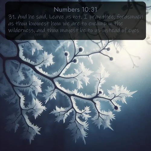 citation biblique : 31. And he said, Leave us not, I pray thee; forasmuch as thou knowest how we are to encamp in the wilderness, and thou mayest be to us instead of eyes.
 sur fond image nature