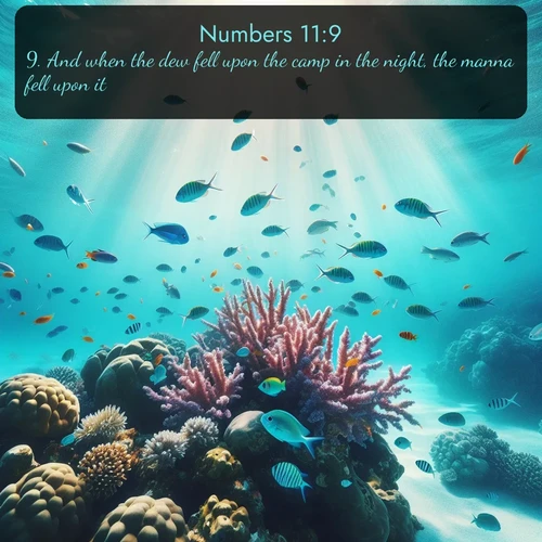 citation biblique : 9. And when the dew fell upon the camp in the night, the manna fell upon it.
 sur fond image nature