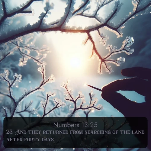 citation biblique : 25. And they returned from searching of the land after forty days.
 sur fond image nature