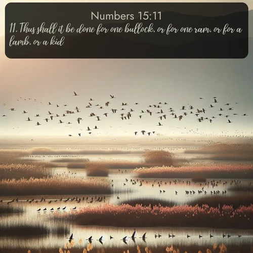citation biblique : 11. Thus shall it be done for one bullock, or for one ram, or for a lamb, or a kid.
 sur fond image nature