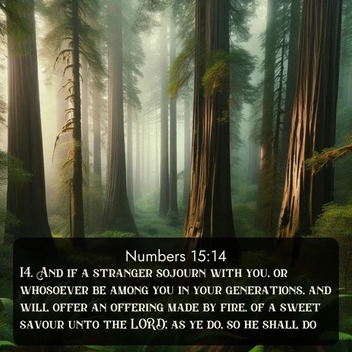 citation biblique : 14. And if a stranger sojourn with you, or whosoever be among you in your generations, and will offer an offering made by fire, of a sweet savour unto the LORD; as ye do, so he shall do.
 sur fond image nature