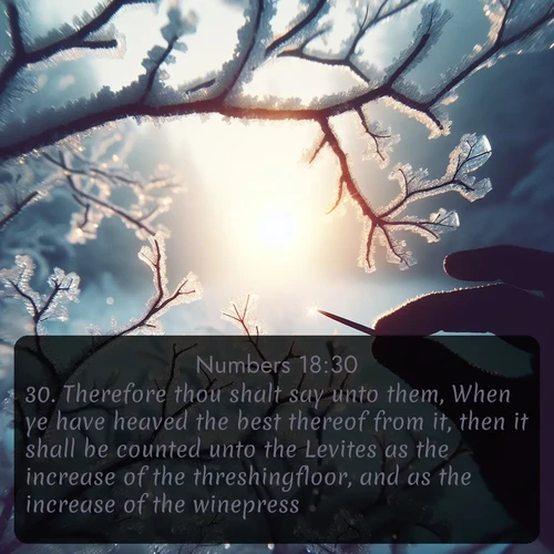 citation biblique : 30. Therefore thou shalt say unto them, When ye have heaved the best thereof from it, then it shall be counted unto the Levites as the increase of the threshingfloor, and as the increase of the winepress.
 sur fond image nature