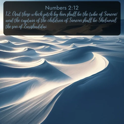citation biblique : 12. And those which pitch by him shall be the tribe of Simeon: and the captain of the children of Simeon shall be Shelumiel the son of Zurishaddai.
 sur fond image nature