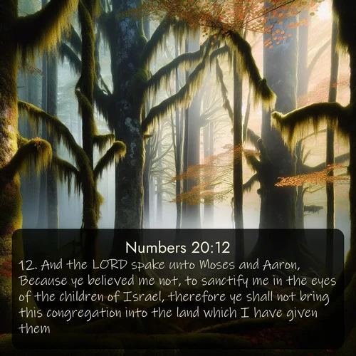 citation biblique : 12. And the LORD spake unto Moses and Aaron, Because ye believed me not, to sanctify me in the eyes of the children of Israel, therefore ye shall not bring this congregation into the land which I have given them.
 sur fond image nature