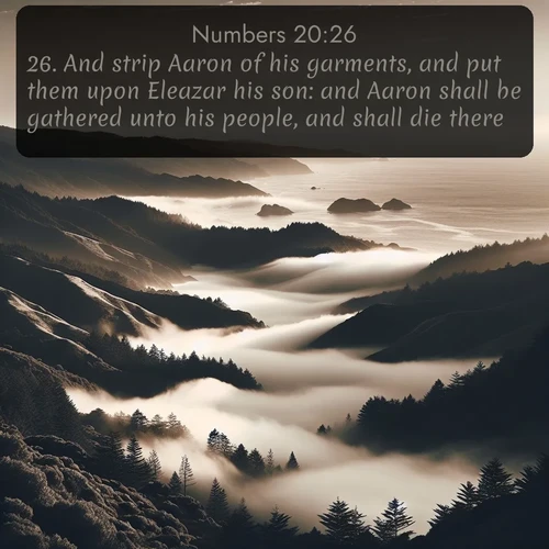 citation biblique : 26. And strip Aaron of his garments, and put them upon Eleazar his son: and Aaron shall be gathered unto his people, and shall die there.
 sur fond image nature