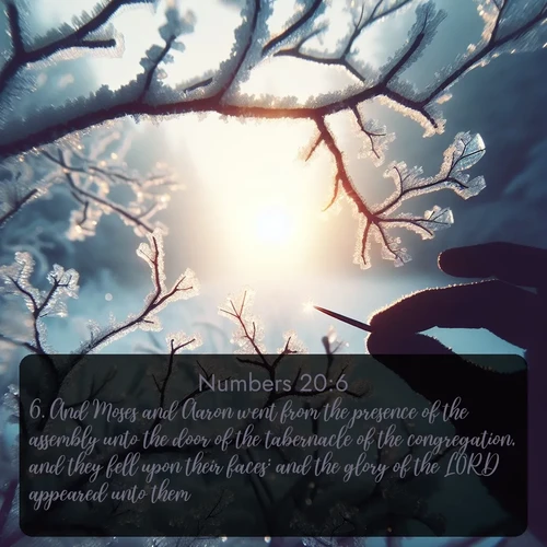 citation biblique : 6. And Moses and Aaron went from the presence of the assembly unto the door of the tabernacle of the congregation, and they fell upon their faces: and the glory of the LORD appeared unto them.
 sur fond image nature