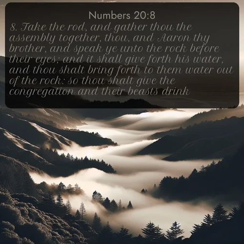 citation biblique : 8. Take the rod, and gather thou the assembly together, thou, and Aaron thy brother, and speak ye unto the rock before their eyes; and it shall give forth his water, and thou shalt bring forth to them water out of the rock: so thou shalt give the congregation and their beasts drink.
 sur fond image nature