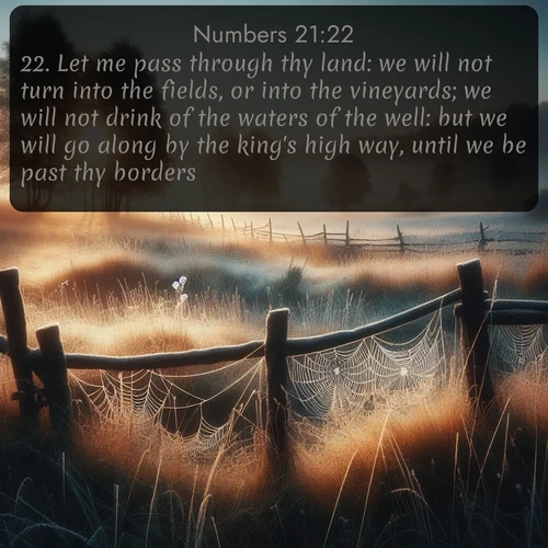 citation biblique : 22. Let me pass through thy land: we will not turn into the fields, or into the vineyards; we will not drink of the waters of the well: but we will go along by the king&#039;s high way, until we be past thy borders.
 sur fond image nature