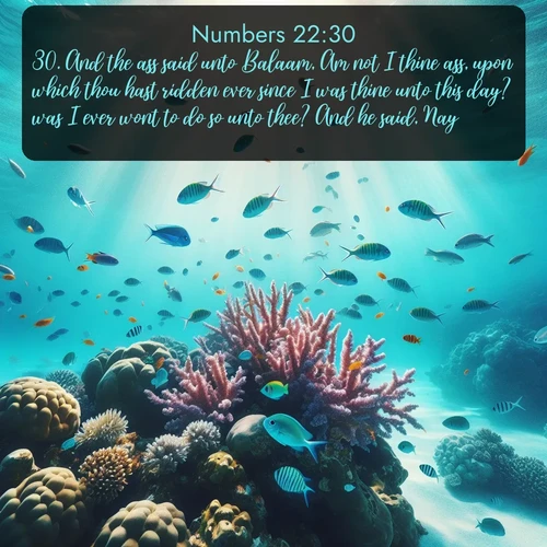 citation biblique : 30. And the ass said unto Balaam, Am not I thine ass, upon which thou hast ridden ever since I was thine unto this day? was I ever wont to do so unto thee? And he said, Nay.
 sur fond image nature