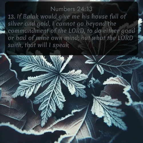 KJV Numbers 24:13 overlaying nature image scene: Winter frost creates delicate patterns on fallen leaves.;13. If Balak would give me his house full of silver and gold, I cannot go beyond the commandment of the LORD, to do either good or bad of mine own mind; but what the LORD saith, that will I speak?
