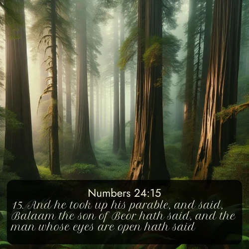 KJV Numbers 24:15 overlaying nature image scene: Coastal redwoods disappear into the fog high above a fern grove.;15. And he took up his parable, and said, Balaam the son of Beor hath said, and the man whose eyes are open hath said: