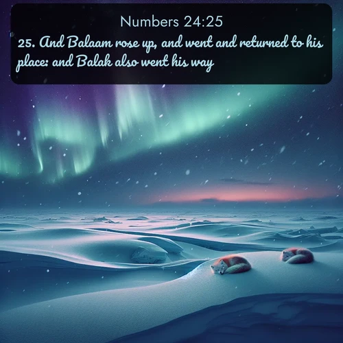 KJV Numbers 24:25 overlaying nature image scene: Northern lights dance across the frozen tundra in ribbons of green and purple. Snow falls silently on sleeping arctic foxes.;25. And Balaam rose up, and went and returned to his place: and Balak also went his way.