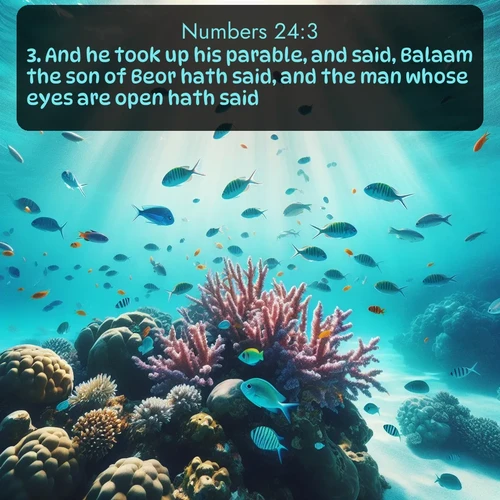 KJV 4 24:3