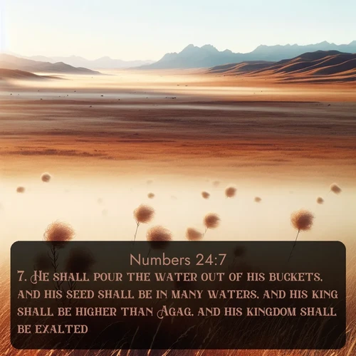 citation biblique : 7. He shall pour the water out of his buckets, and his seed shall be in many waters, and his king shall be higher than Agag, and his kingdom shall be exalted.
 sur fond image nature