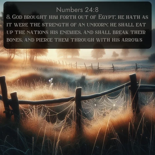 KJV Numbers 24:8 overlaying nature image scene: Morning frost coats spider webs stretched between fence posts in a country meadow.;8. God brought him forth out of Egypt; he hath as it were the strength of an unicorn: he shall eat up the nations his enemies, and shall break their bones, and pierce them through with his arrows.