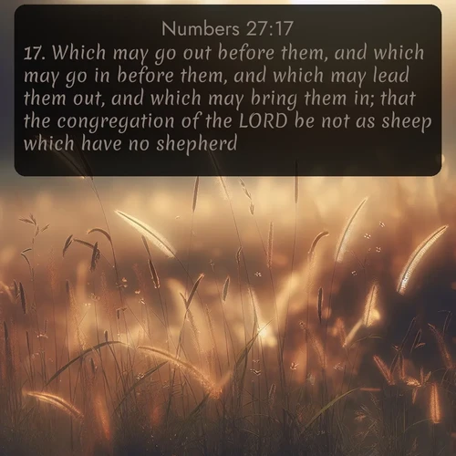 citation biblique : 17. Which may go out before them, and which may go in before them, and which may lead them out, and which may bring them in; that the congregation of the LORD be not as sheep which have no shepherd.
 sur fond image nature