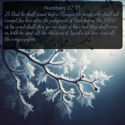 citation biblique : 21. And he shall stand before Eleazar the priest, who shall ask counsel for him after the judgment of Urim before the LORD: at his word shall they go out, and at his word they shall come in, both he, and all the children of Israel with him, even all the congregation.
 sur fond image nature