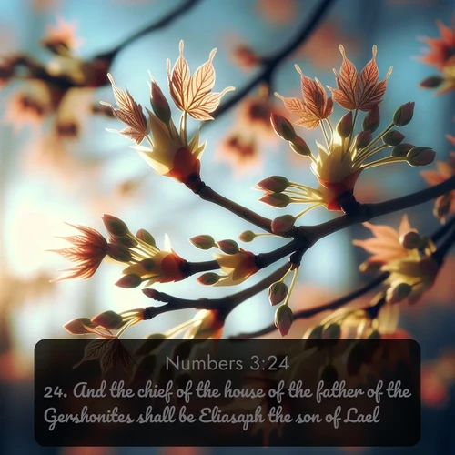 citation biblique : 24. And the chief of the house of the father of the Gershonites shall be Eliasaph the son of Lael.
 sur fond image nature