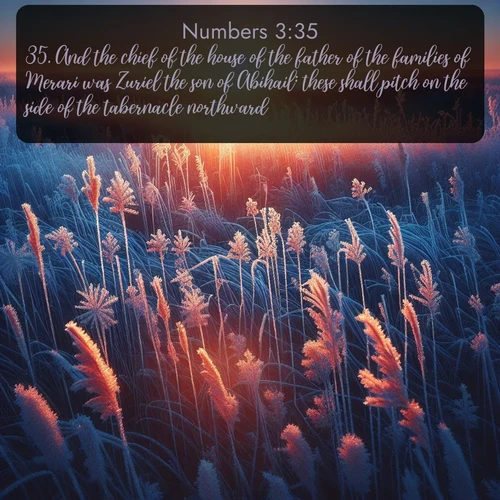 citation biblique : 35. And the chief of the house of the father of the families of Merari was Zuriel the son of Abihail: these shall pitch on the side of the tabernacle northward.
 sur fond image nature