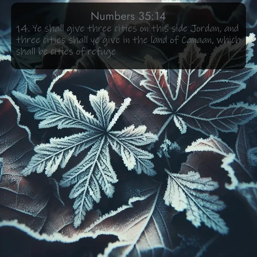 citation biblique : 14. Ye shall give three cities on this side Jordan, and three cities shall ye give in the land of Canaan, which shall be cities of refuge.
 sur fond image nature