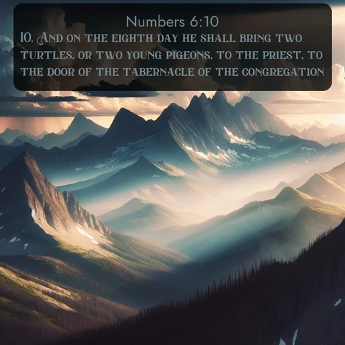 citation biblique : 10. And on the eighth day he shall bring two turtles, or two young pigeons, to the priest, to the door of the tabernacle of the congregation:
 sur fond image nature